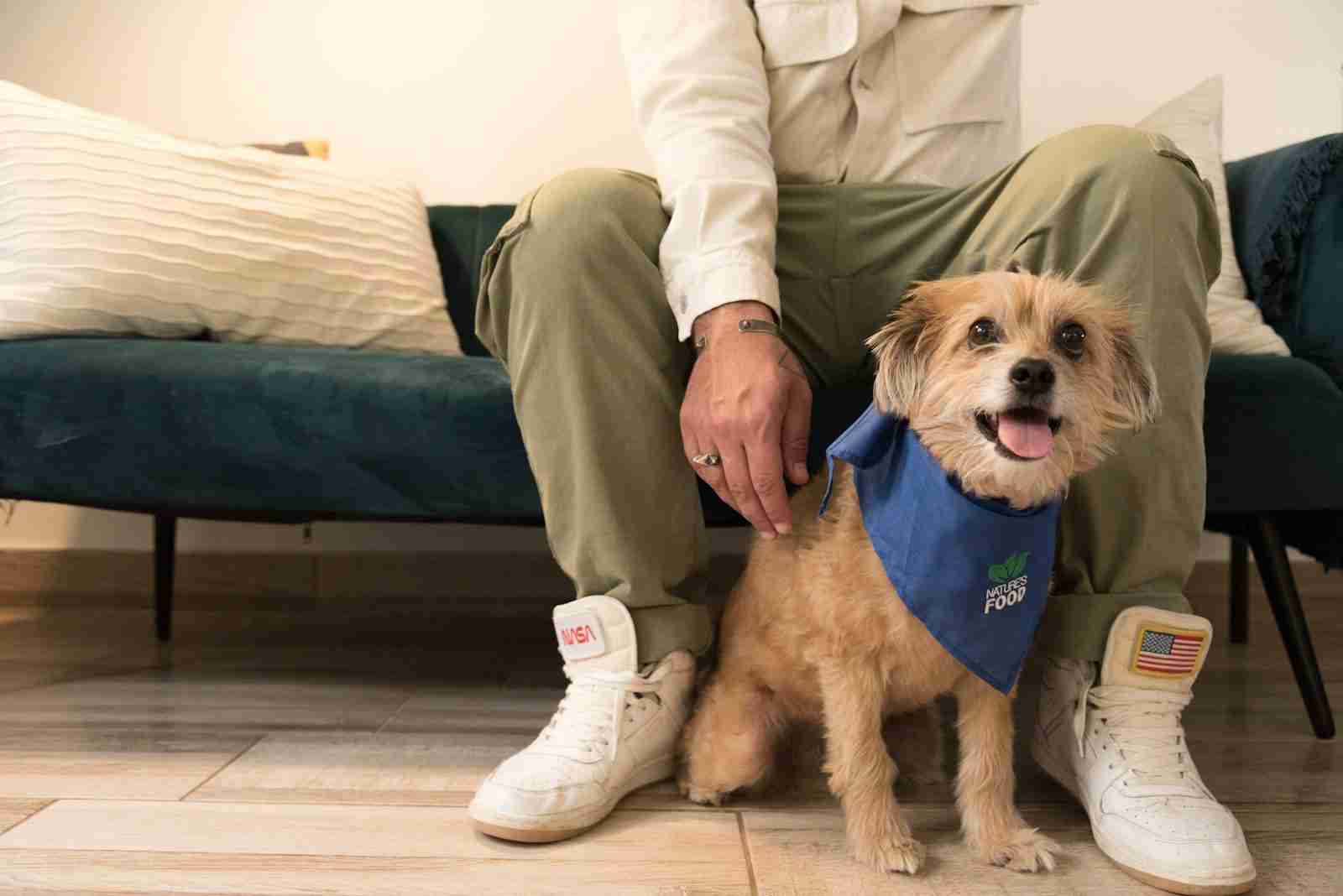 A happy dog wearing a blue bandana sits beside its owner in a comfortable home after a veterinary visit, representing Veterinarian office loan, loan repayment veterinarians, asset loans for veterinarians, veterinarian SBA loan, and veterinary hospital loans that help veterinary practices provide quality care in modern facilities.